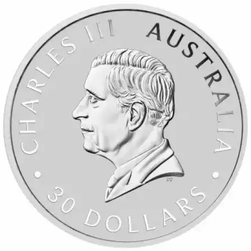 https://canadianpmx.com/thumbs/australian-1-kilo-silver-kookaburra-2024-288555-medium.jpg