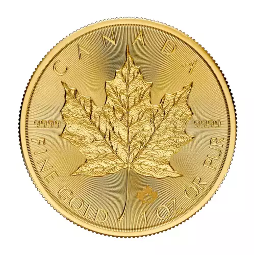 https://canadianpmx.com/thumbs/canadian-gold-maple-leaf-1-oz-9999-2025-290566-medium.jpg