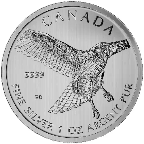 RCM 1oz Silver Birds of Prey Red Tailed Hawk - 2015