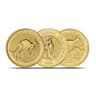 Australian Gold Kangaroo
