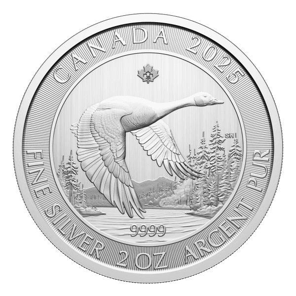 2025 2 oz. Canada Goose Silver Coin