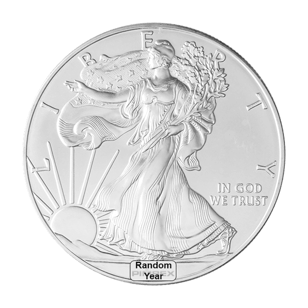 1 oz American Silver Eagle Coin (Random Year)