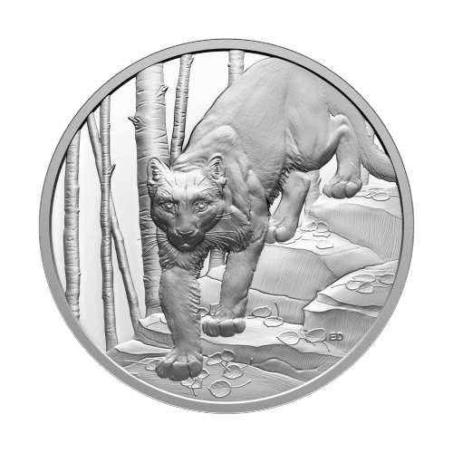 https://static.bullionmatch.com/silvergoldbull-canada--pp-10359-1.png
