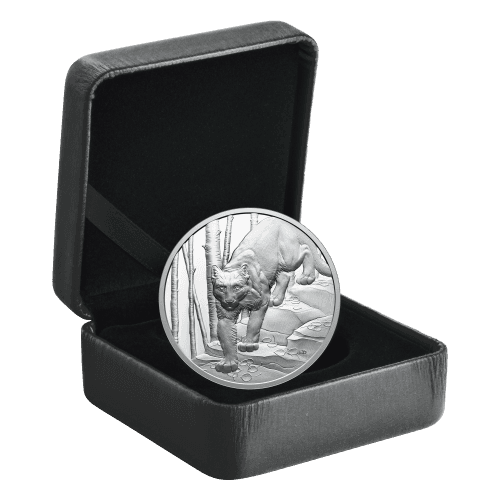 1 oz 2024 Ultra High Relief Great Hunters: Cougar Silver Coin | Royal Canadian Mint