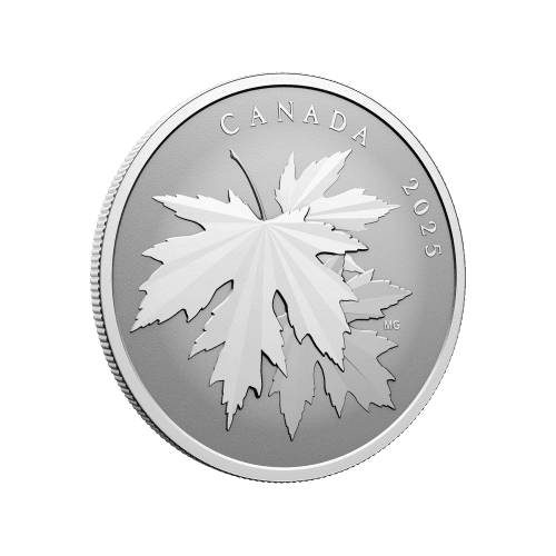 https://static.bullionmatch.com/silvergoldbull-canada--pp-10659-3.png