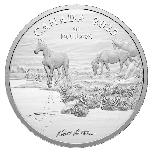https://static.bullionmatch.com/silvergoldbull-canada--pp-10716-1.png
