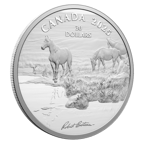 https://static.bullionmatch.com/silvergoldbull-canada--pp-10716-3.png