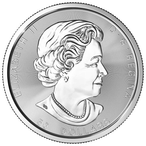 10 oz 2021 Royal Canadian Mint Magnificent Maple Leaves Silver Coin | CW