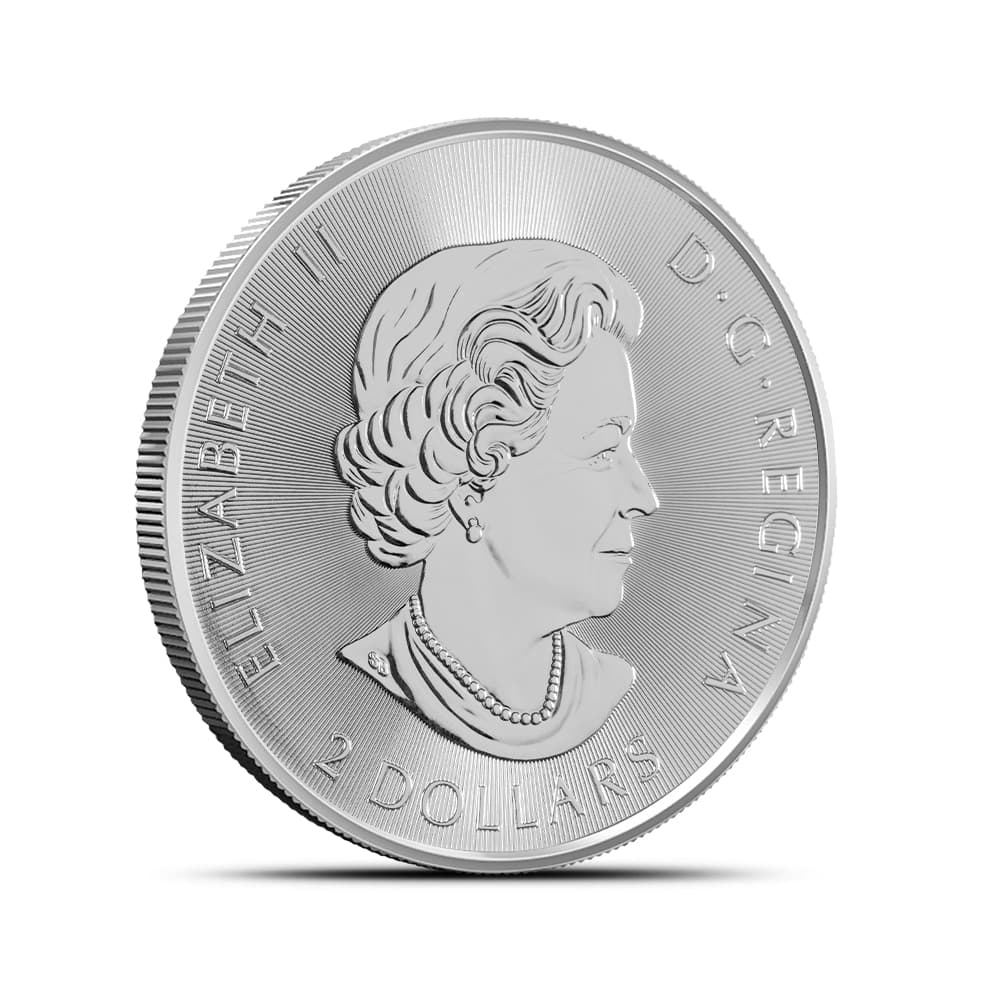 https://www.bgasc.com/wp-content/uploads/2019/12/PID2343057-IMG-8400-1.jpg