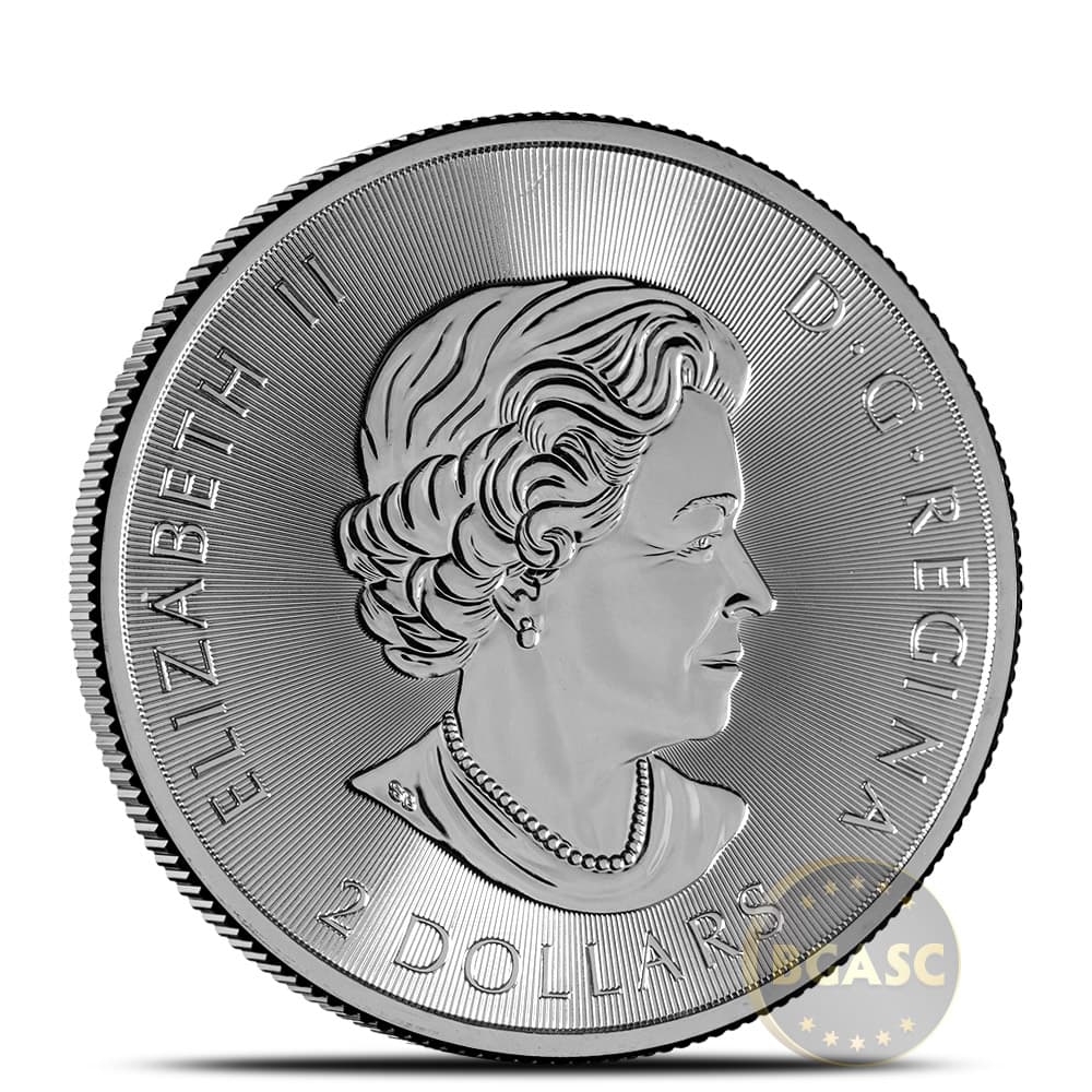 https://www.bgasc.com/wp-content/uploads/2020/07/1-2-oz-Silver-Coin-Varied-Condition-Any-Mint02.jpg