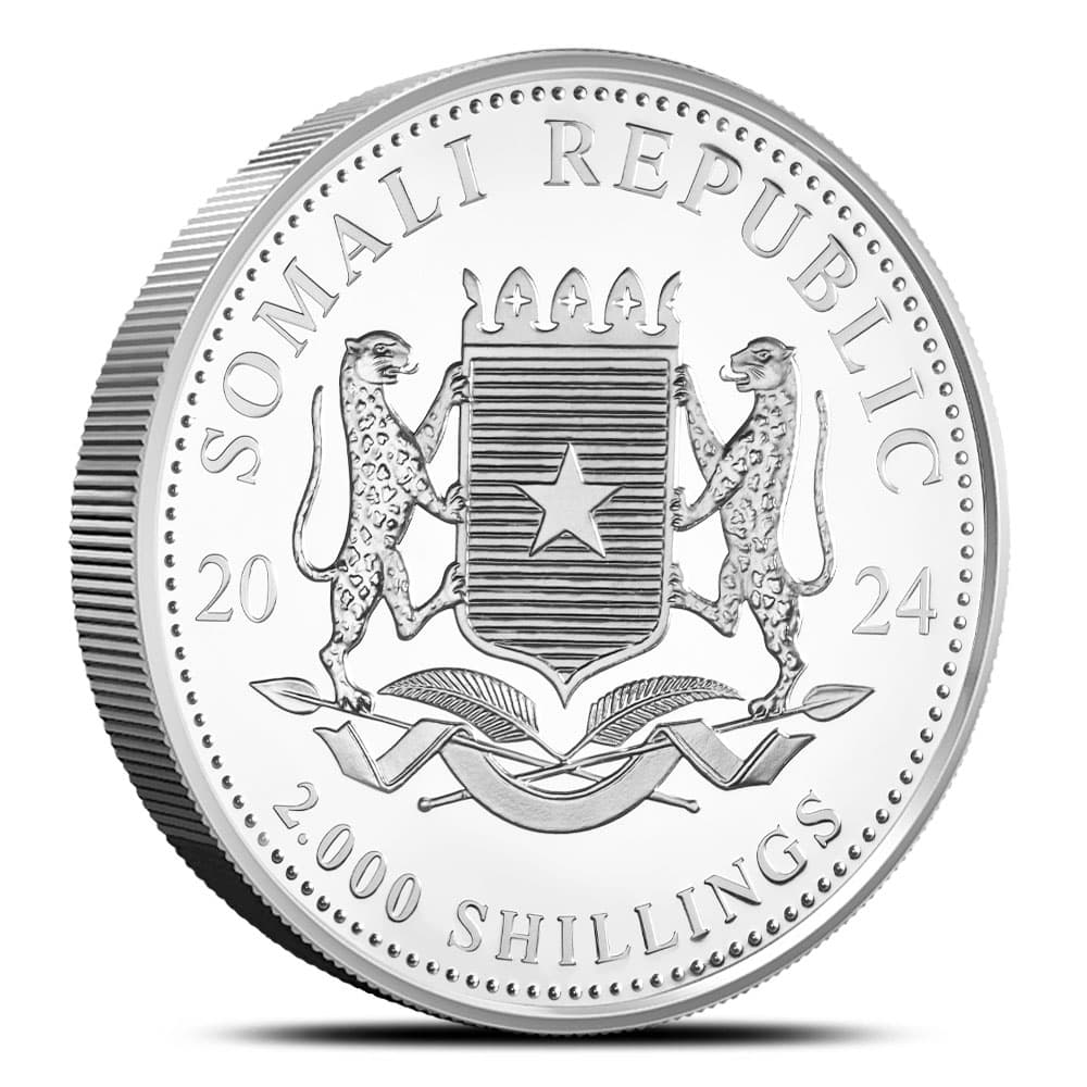 https://www.bgasc.com/wp-content/uploads/2024/06/6024297_back.jpg