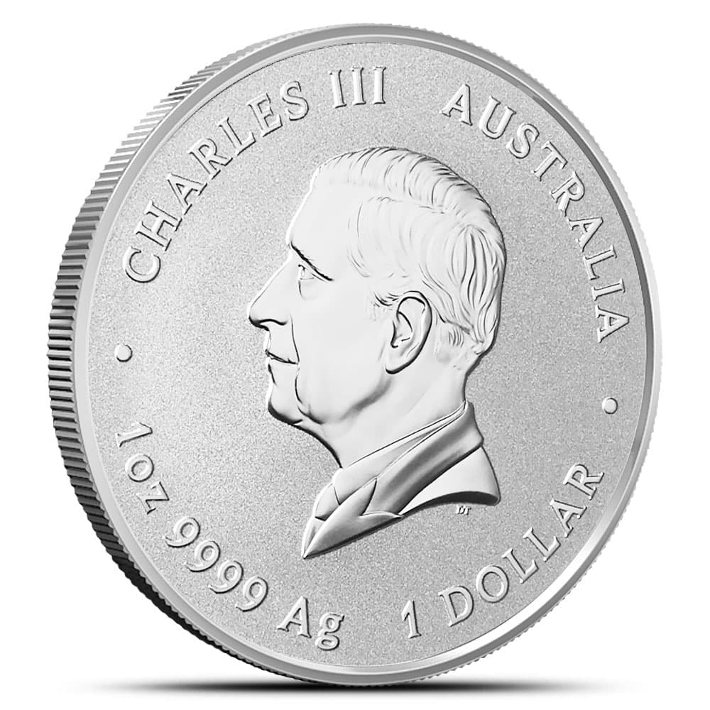 https://www.bgasc.com/wp-content/uploads/2024/10/6196766_back.jpg