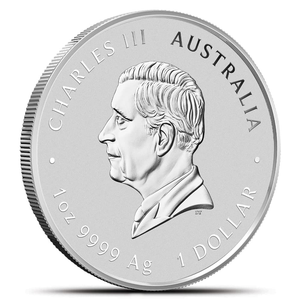 https://www.bgasc.com/wp-content/uploads/2025/01/6346846_back.jpg