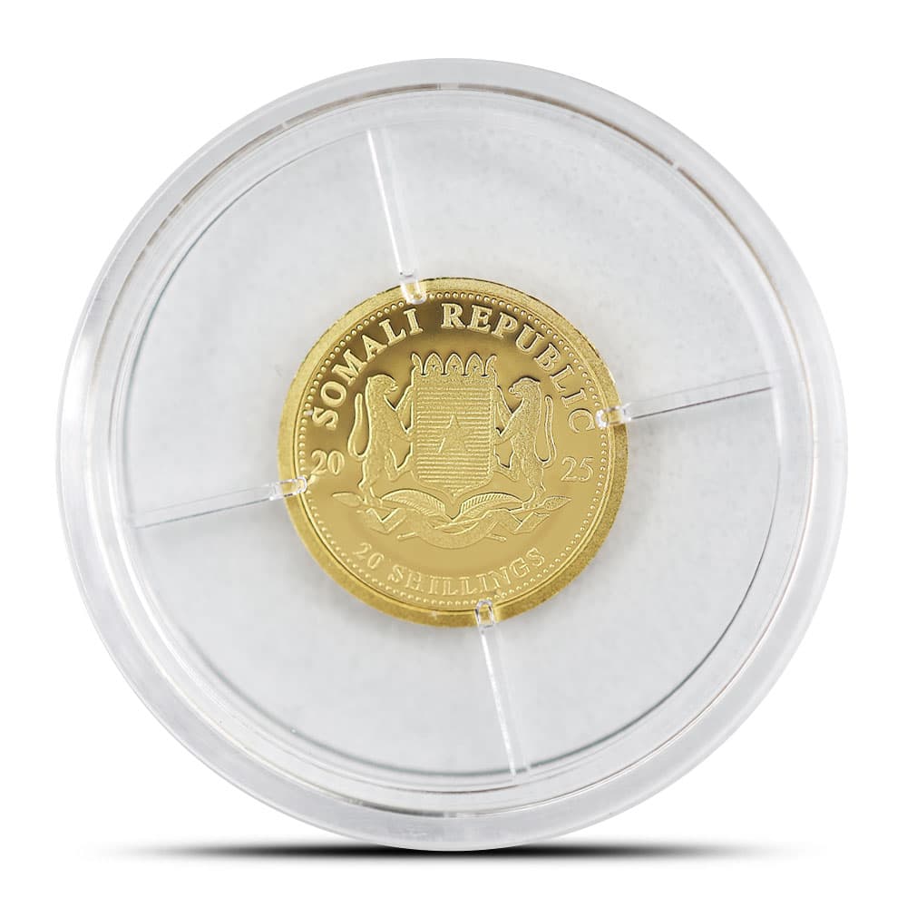 https://www.bgasc.com/wp-content/uploads/2025/02/6108524_back_capsule.jpg