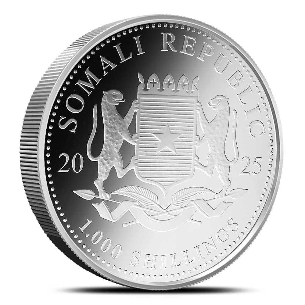 https://www.bgasc.com/wp-content/uploads/2025/02/6108535_back.jpg