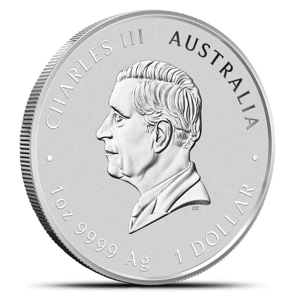 https://www.bgasc.com/wp-content/uploads/2025/02/6409024_back.jpg