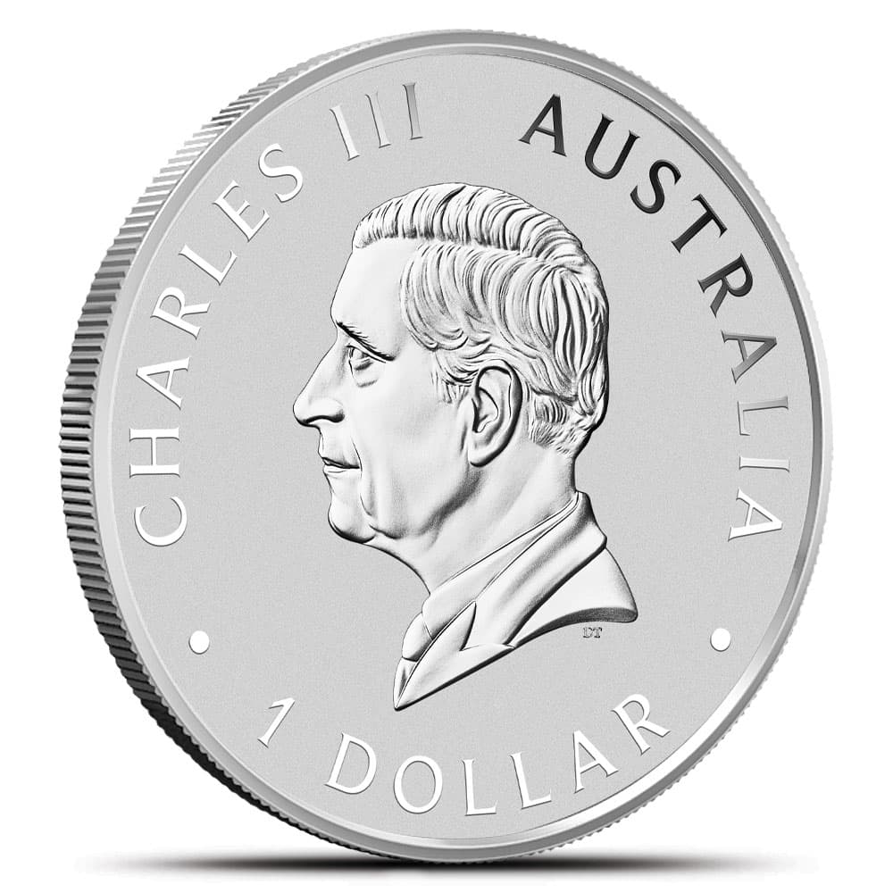 https://www.bgasc.com/wp-content/uploads/2025/03/6428088_back.jpg