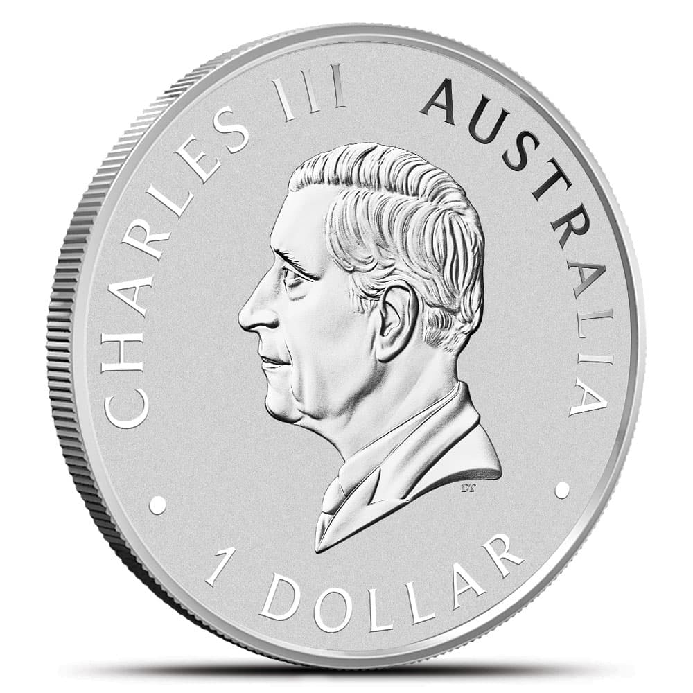 https://www.bgasc.com/wp-content/uploads/2025/03/6457661_back.jpg