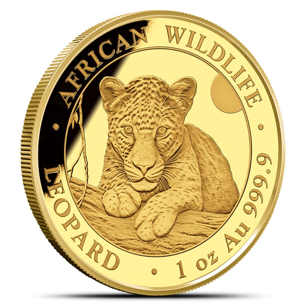 https://www.bgasc.com/wp-content/uploads/2025/04/6483718_front.jpg