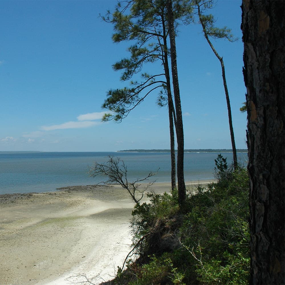 https://www.bgasc.com/wp-content/uploads/bgimages/ATB_2018_CMDISLAND-03-popup.jpg
