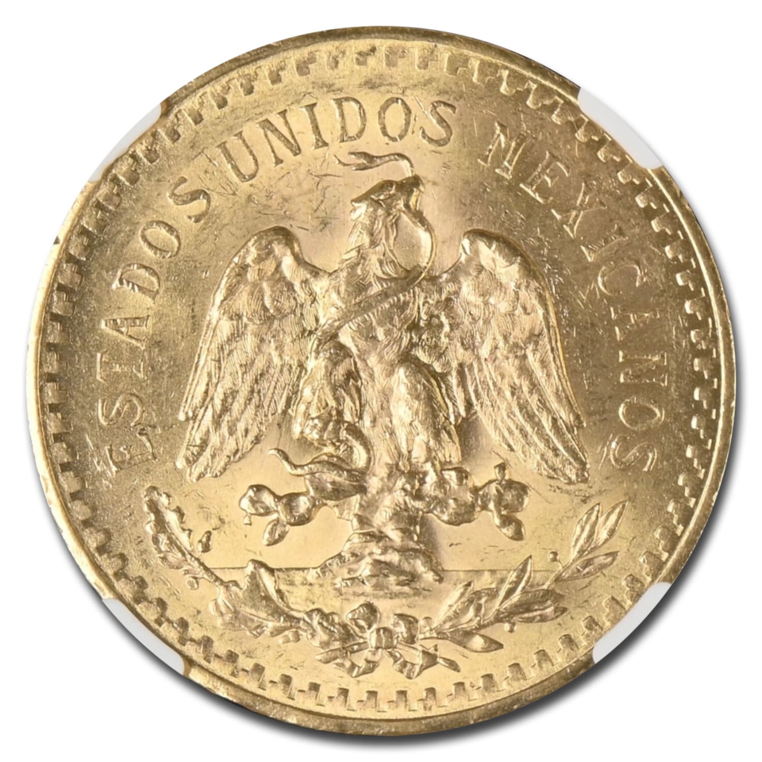 https://www.images-apmex.com/images/products/1923-mexico-gold-50-pesos-ms-62-ngc_256464_rev.jpg