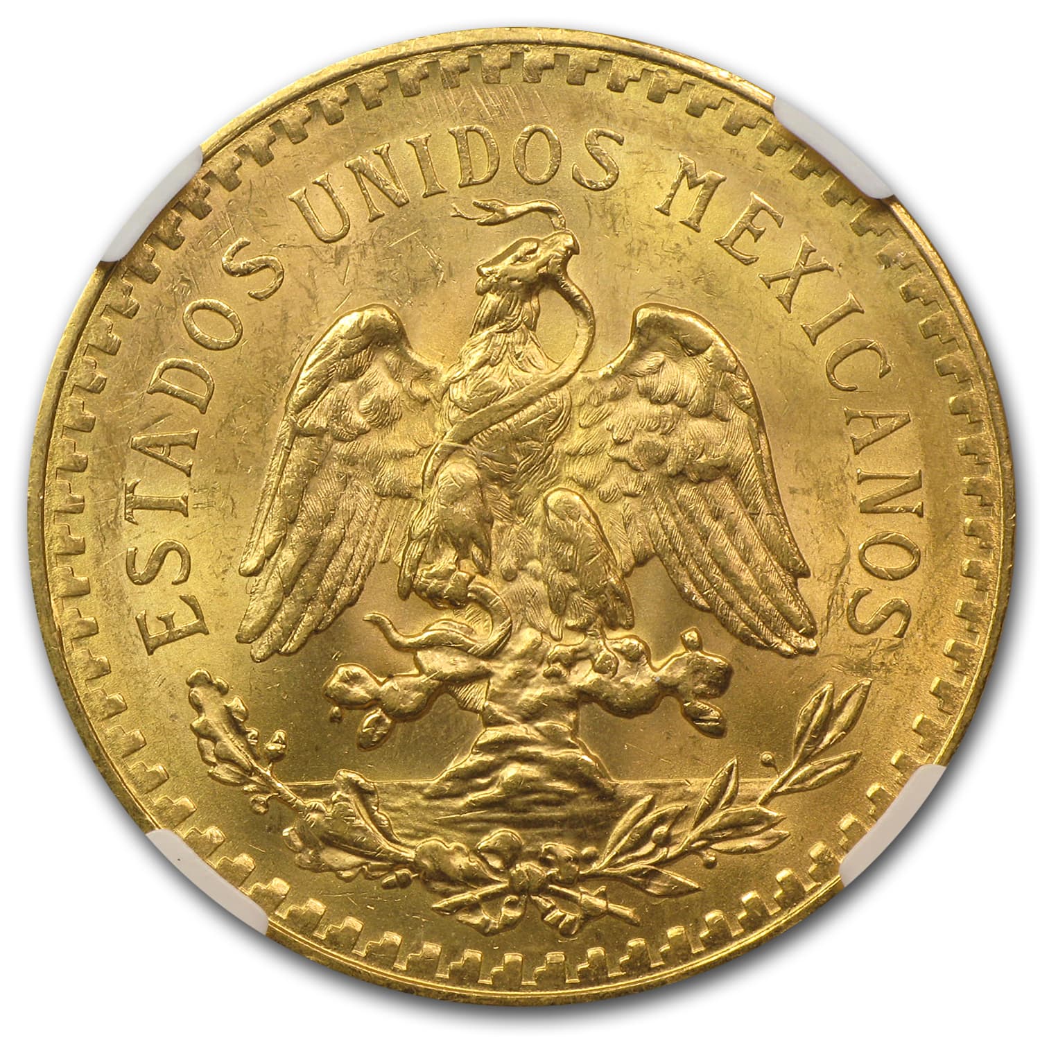 https://www.images-apmex.com/images/products/1926-mexico-gold-50-pesos-ms-63-ngc_73064_Rev.jpg