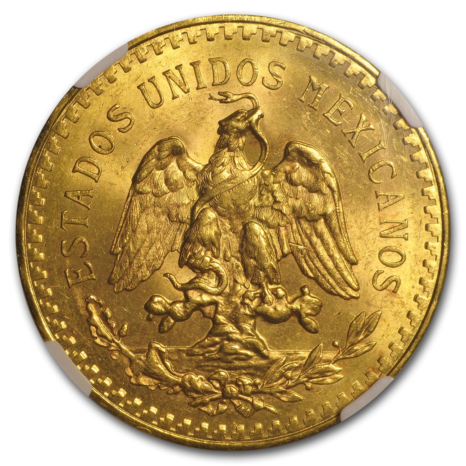 https://www.images-apmex.com/images/products/1927-mexico-gold-50-pesos-ms-63-ngc_69724_Rev.jpg