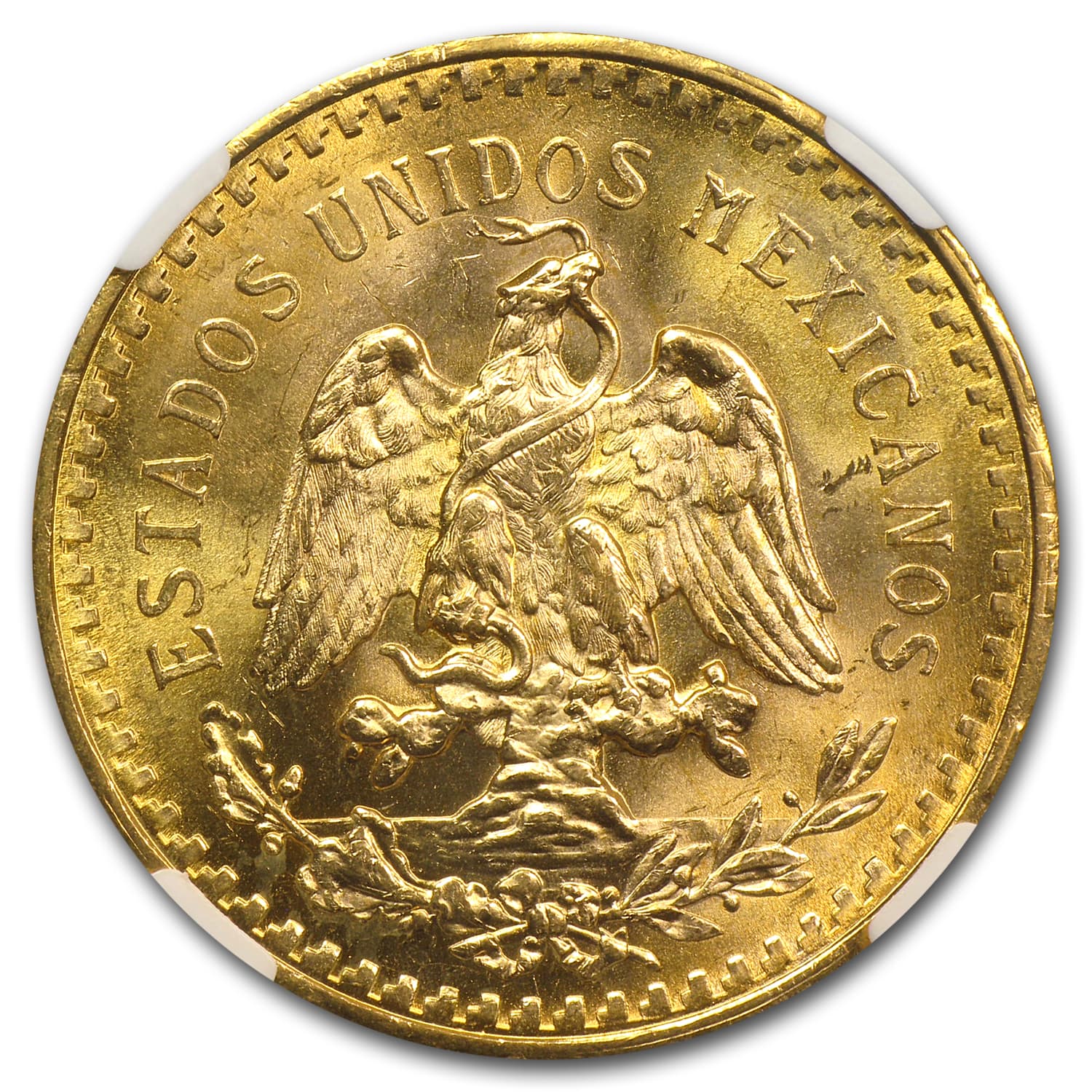 https://www.images-apmex.com/images/products/1945-mexico-gold-50-pesos-ms-64-ngc_74212_Rev.jpg