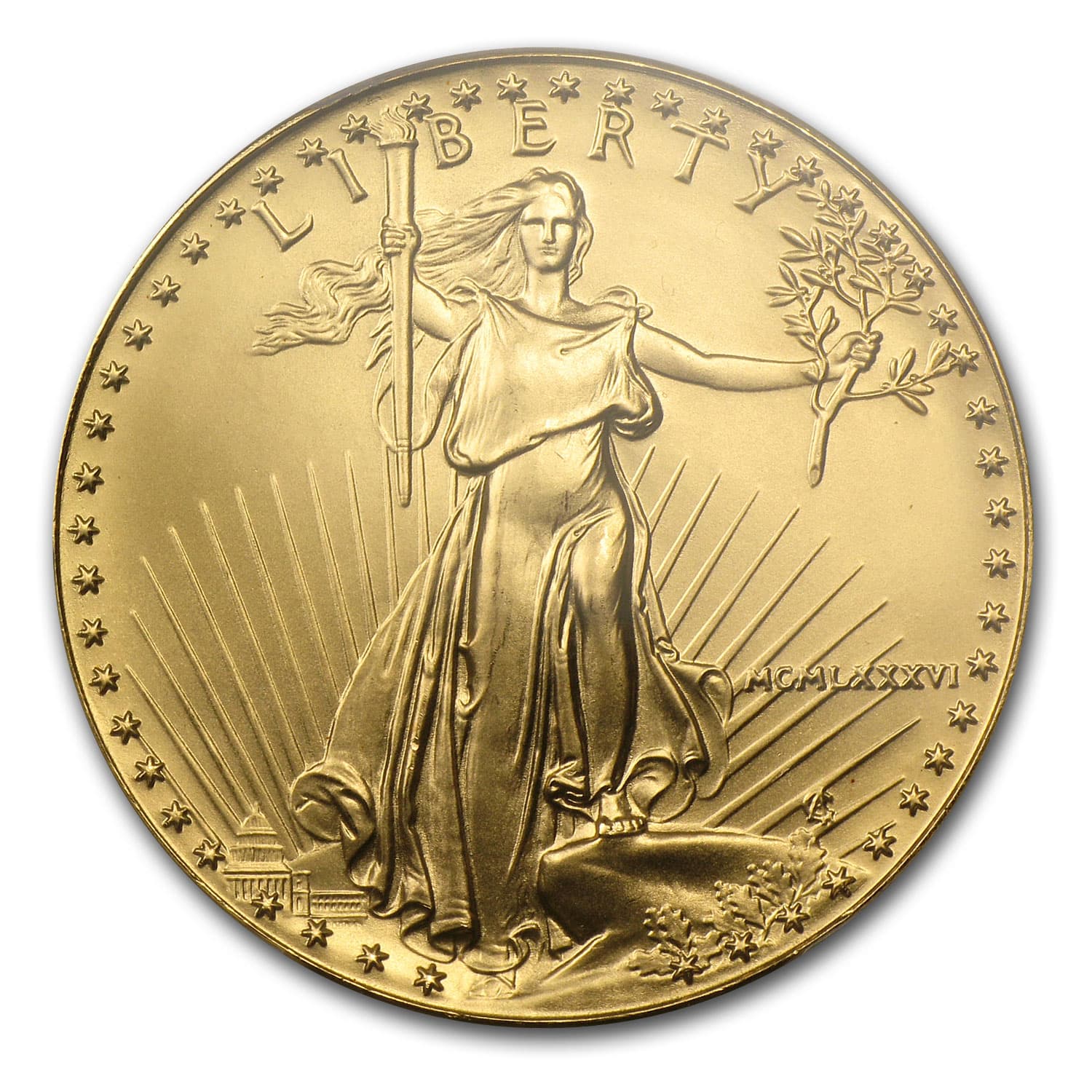https://www.images-apmex.com/images/products/1986-1-oz-american-gold-eagle-ms-69-pcgs_11208_obv.jpg