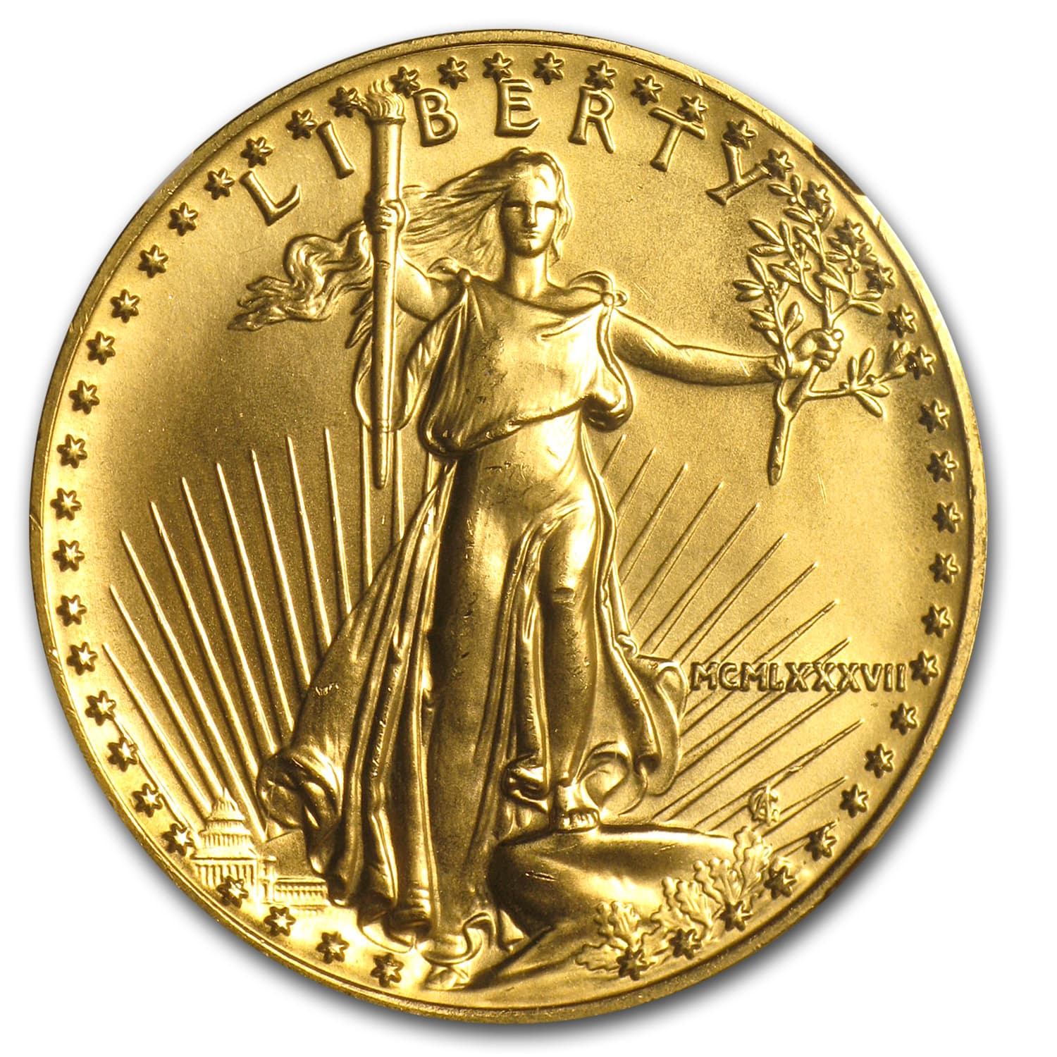 https://www.images-apmex.com/images/products/1987-1-oz-american-gold-eagle-ms-69-ngc_13064_Obv.jpg