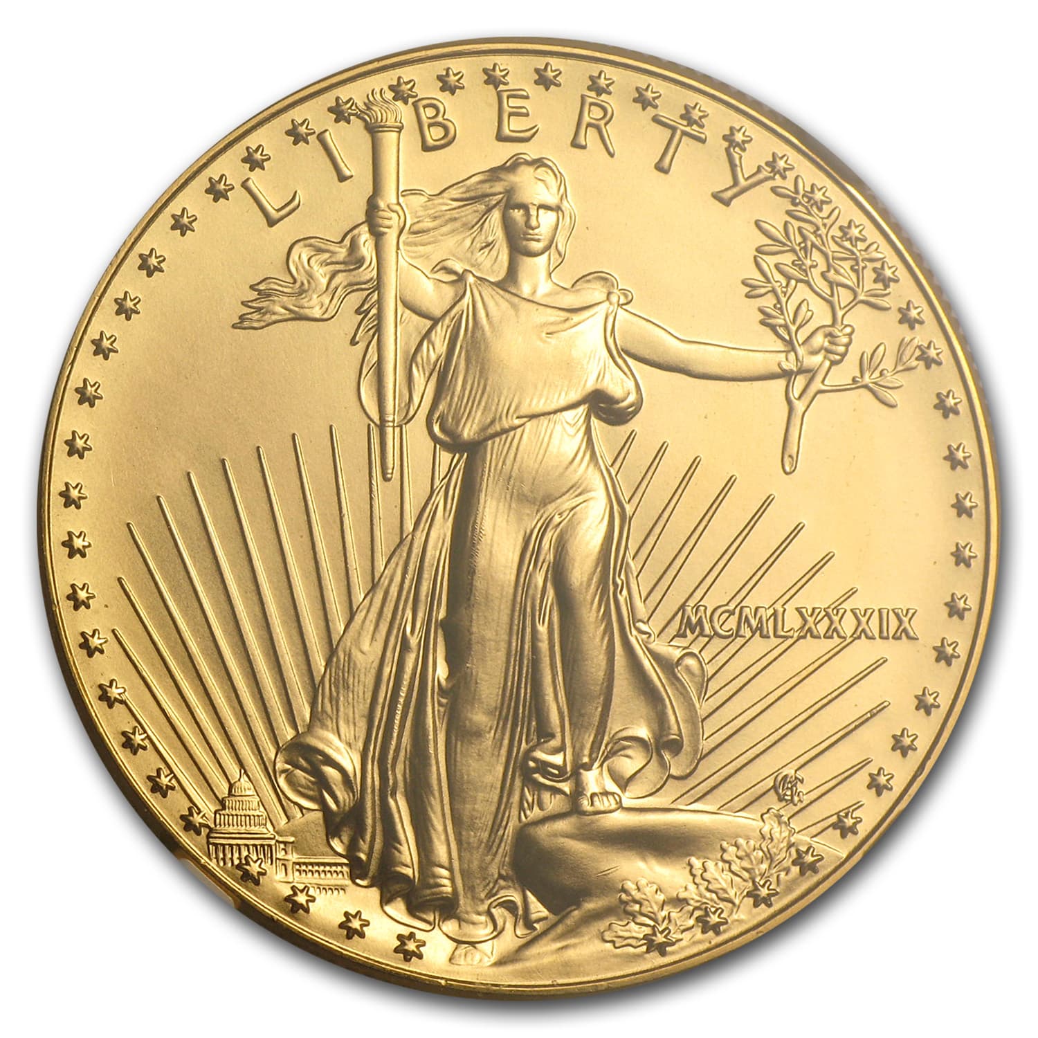 https://www.images-apmex.com/images/products/1989-1-oz-american-gold-eagle-ms-69-ngc_13983_Obv.jpg