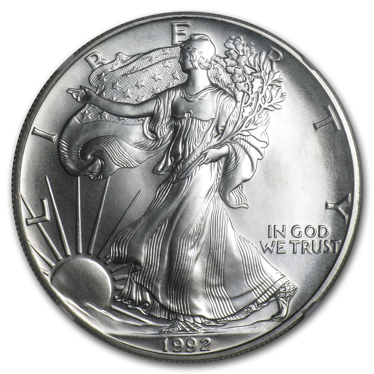 https://www.images-apmex.com/images/products/1992-american-silver-eagle-ms-69-ngc_6903_Obv.jpg