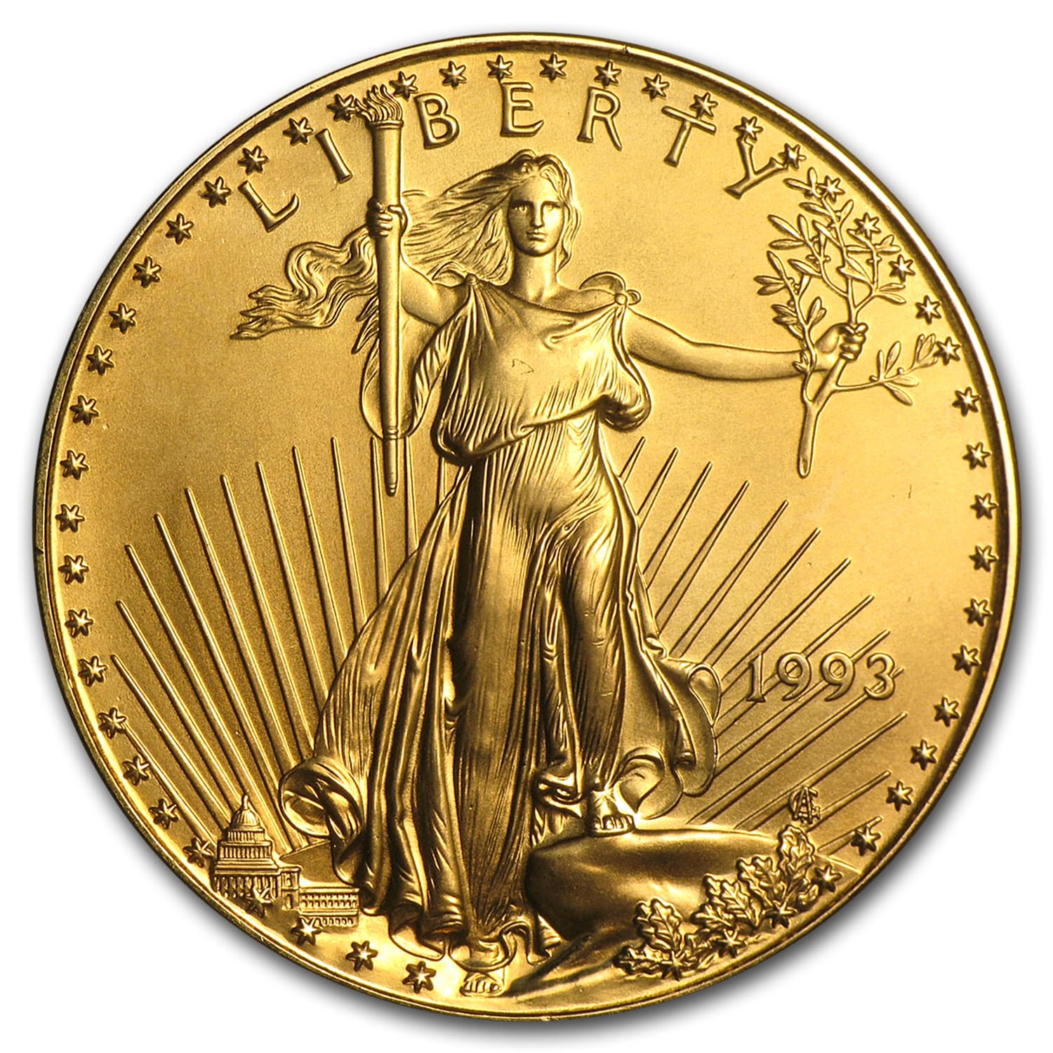 https://www.images-apmex.com/images/products/1993-1-oz-american-gold-eagle-bu_7673_Obv.jpg