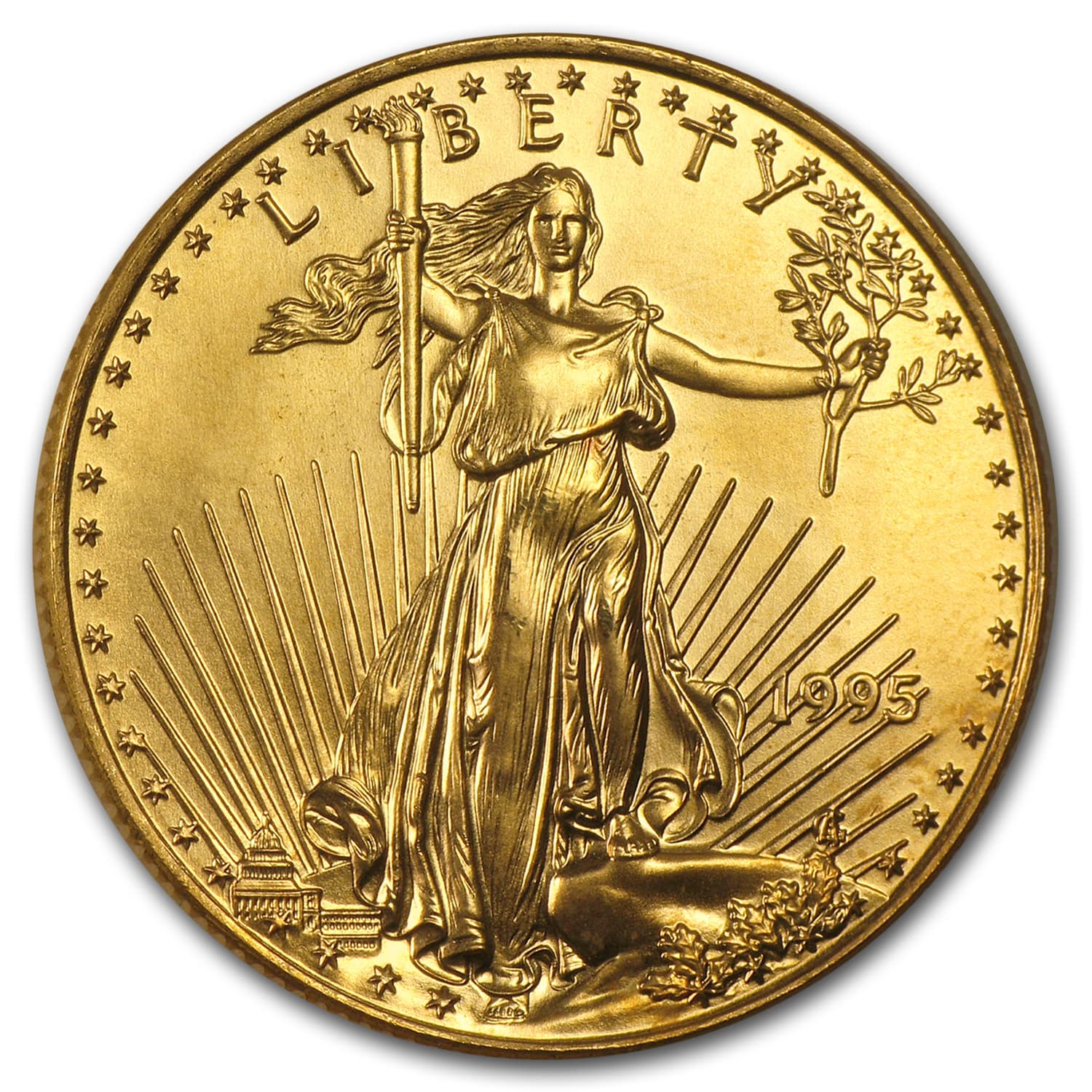 https://www.images-apmex.com/images/products/1995-1-2-oz-american-gold-eagle-bu_4727_Obv.jpg