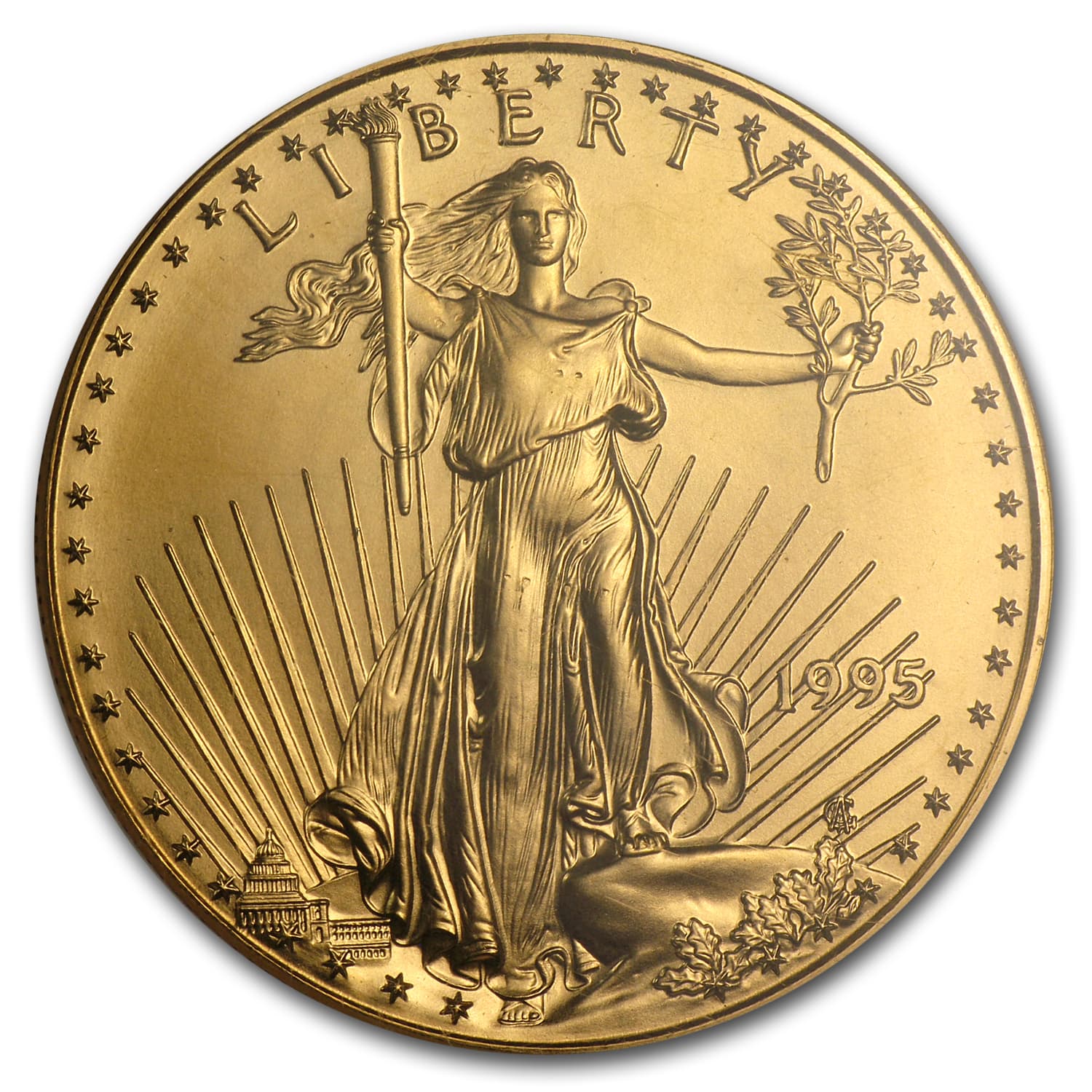 https://www.images-apmex.com/images/products/1995-1-oz-american-gold-eagle-ms-69-ngc_13986_Obv.jpg