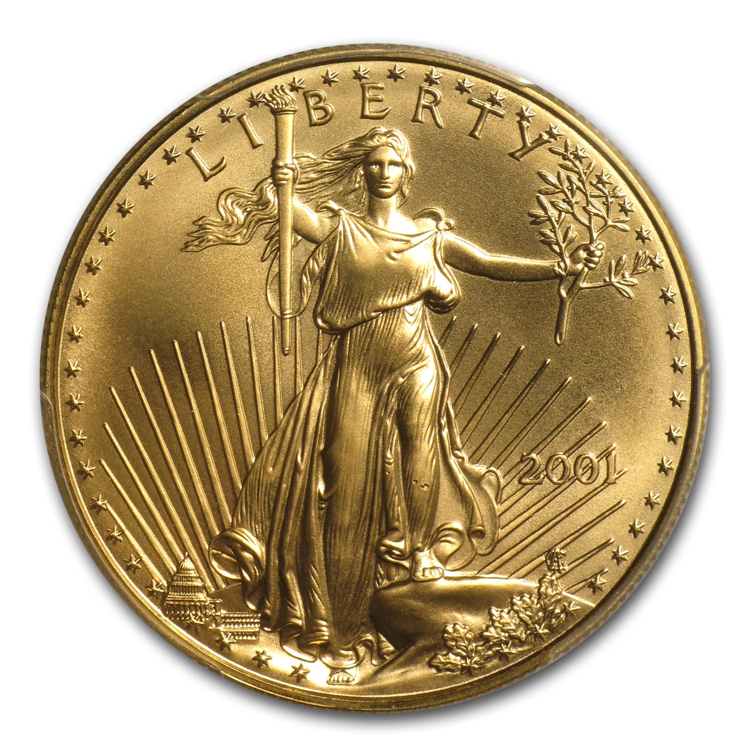 https://www.images-apmex.com/images/products/2001-1-oz-american-gold-eagle-ms-69-pcgs_11488_Obv.jpg