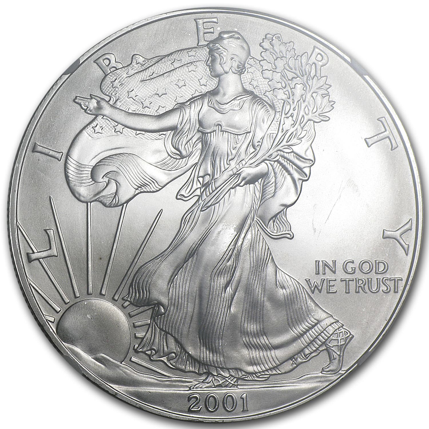 https://www.images-apmex.com/images/products/2001-american-silver-eagle-ms-69-ngc_4848_obv.jpg