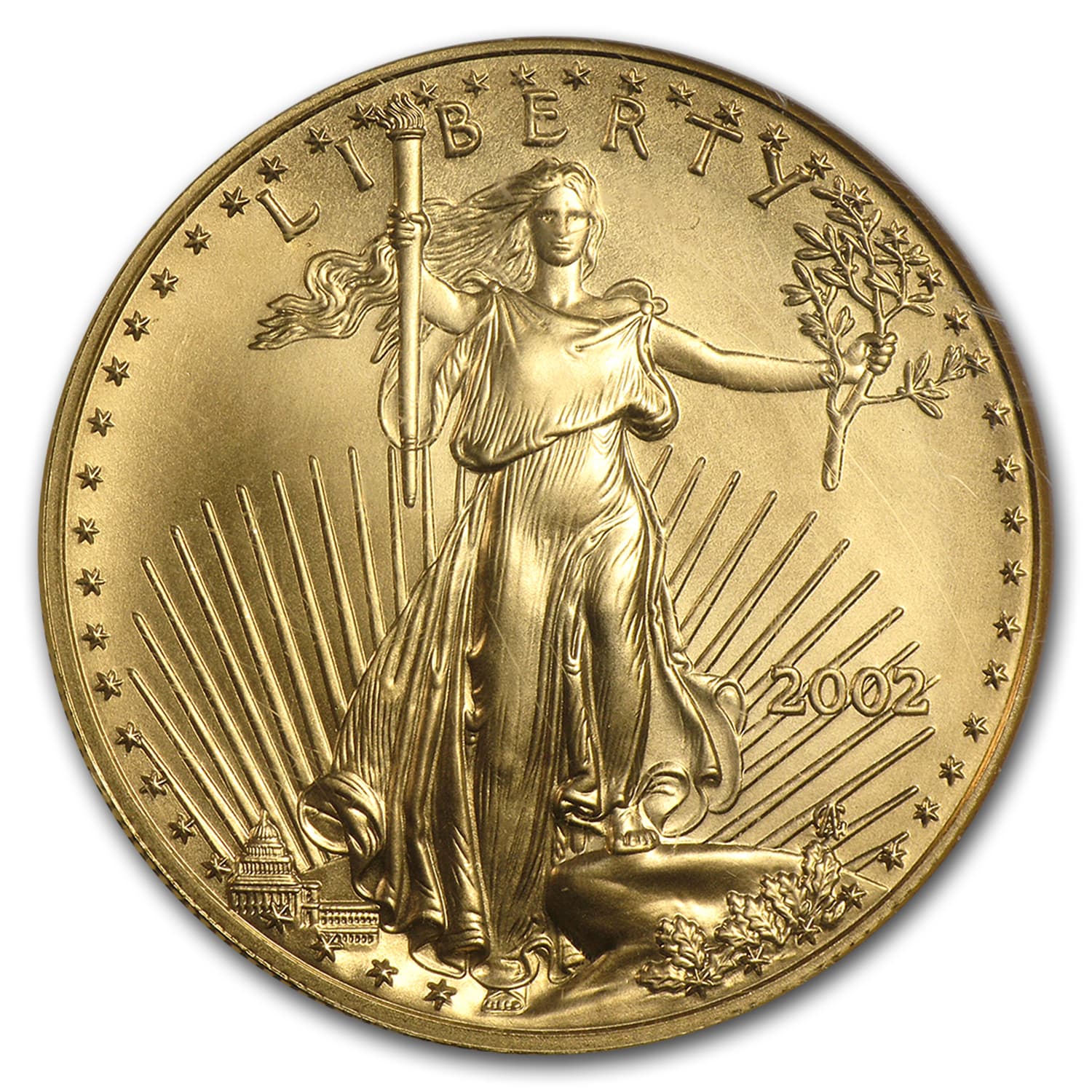 https://www.images-apmex.com/images/products/2002-1-oz-american-gold-eagle-ms-69-ngc_13995_Obv.jpg