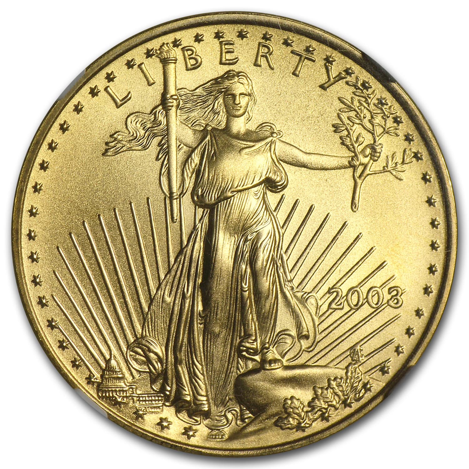 https://www.images-apmex.com/images/products/2003-1-2-oz-american-gold-eagle-ms-70-ngc_4874_Obv.jpg