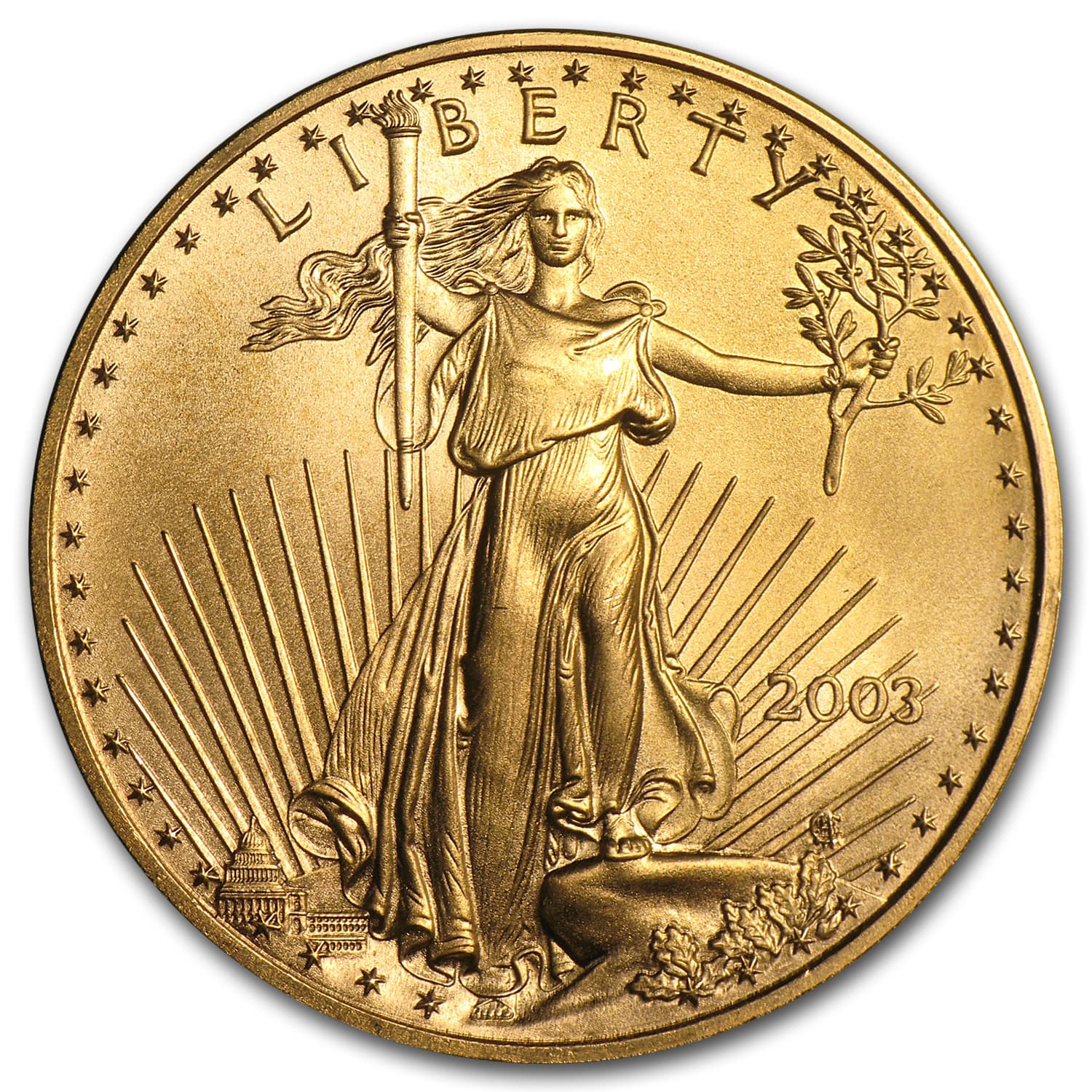 https://www.images-apmex.com/images/products/2003-1-oz-american-gold-eagle-bu_9118_Obv.jpg