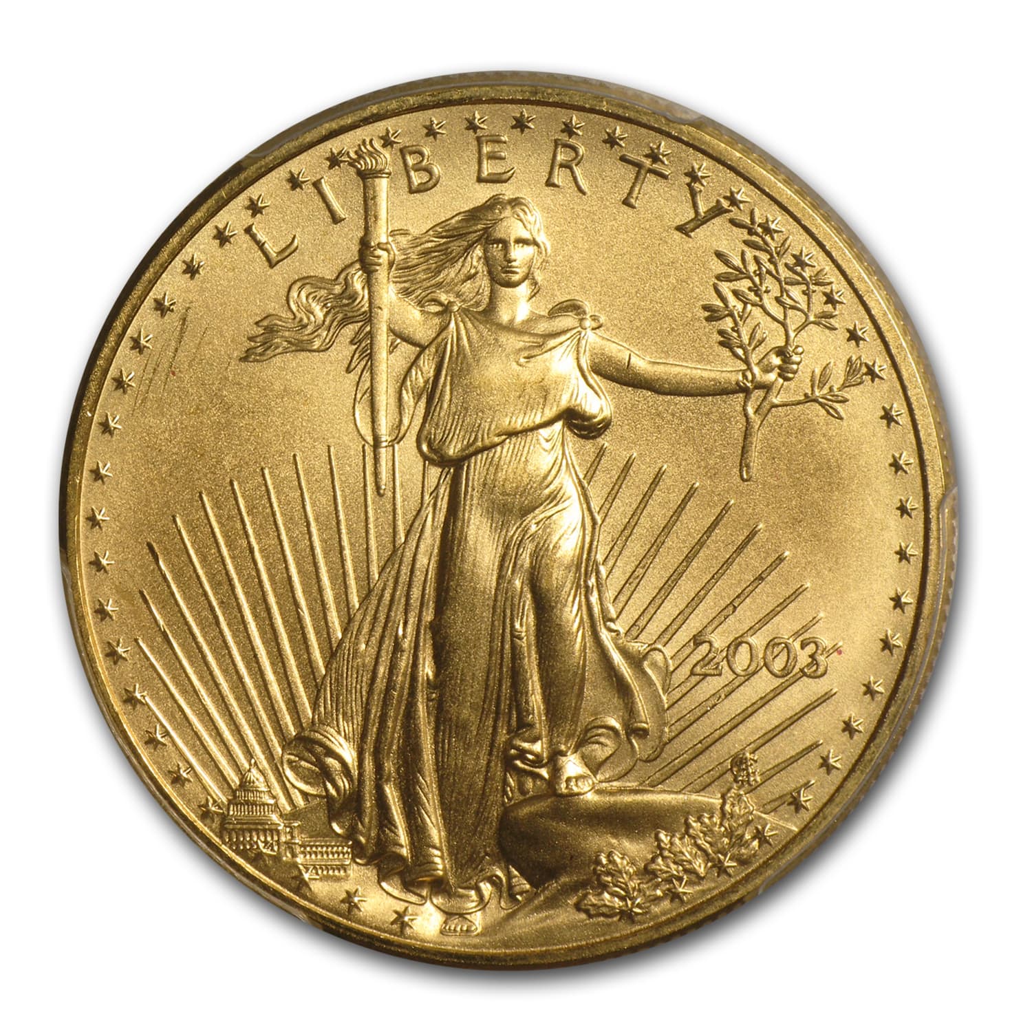 https://www.images-apmex.com/images/products/2003-1-oz-american-gold-eagle-ms-69-pcgs_7652_Obv.jpg