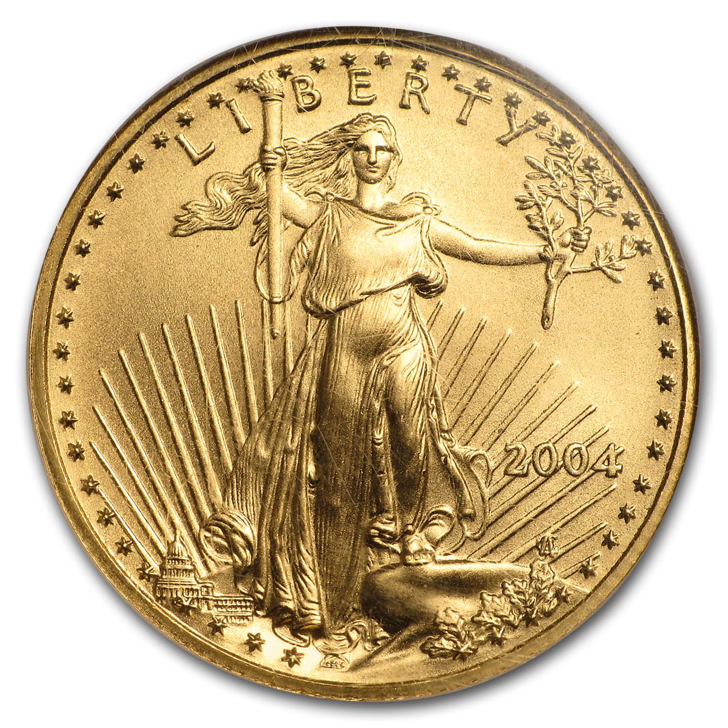 https://www.images-apmex.com/images/products/2004-1-2-oz-american-gold-eagle-ms-69-ngc_7243_Obv.jpg