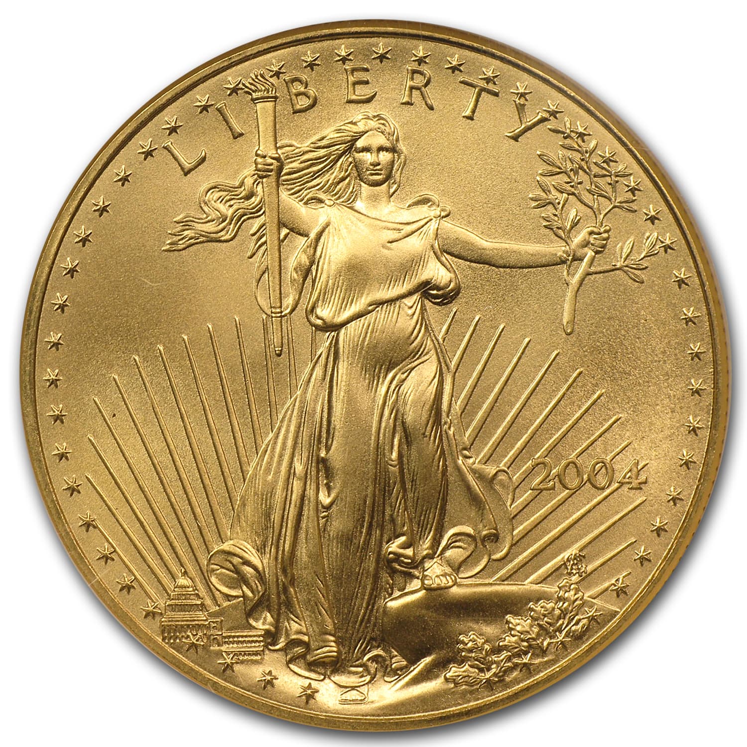 https://www.images-apmex.com/images/products/2004-1-oz-american-gold-eagle-ms-69-ngc_12458_Obv.jpg