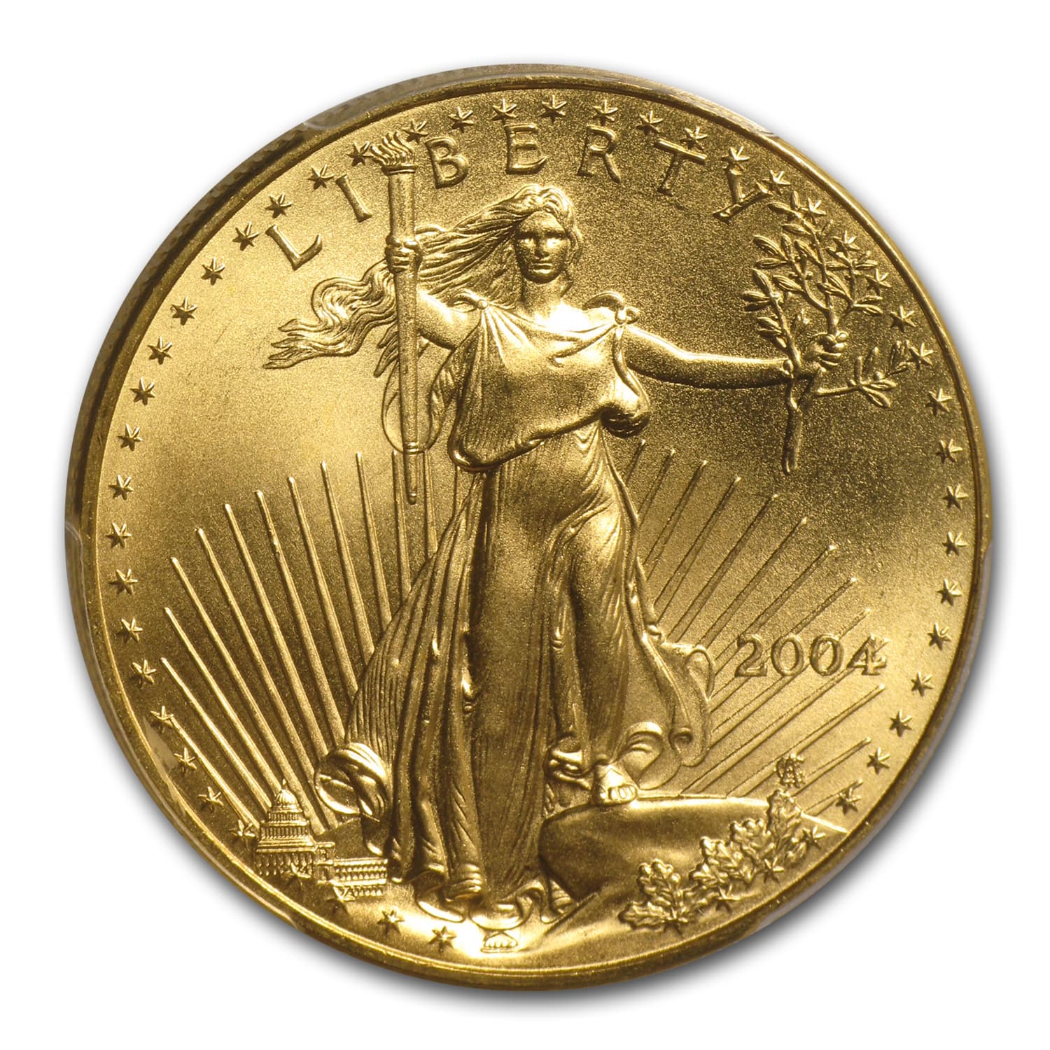 https://www.images-apmex.com/images/products/2004-1-oz-american-gold-eagle-ms-69-pcgs_1012_Obv.jpg