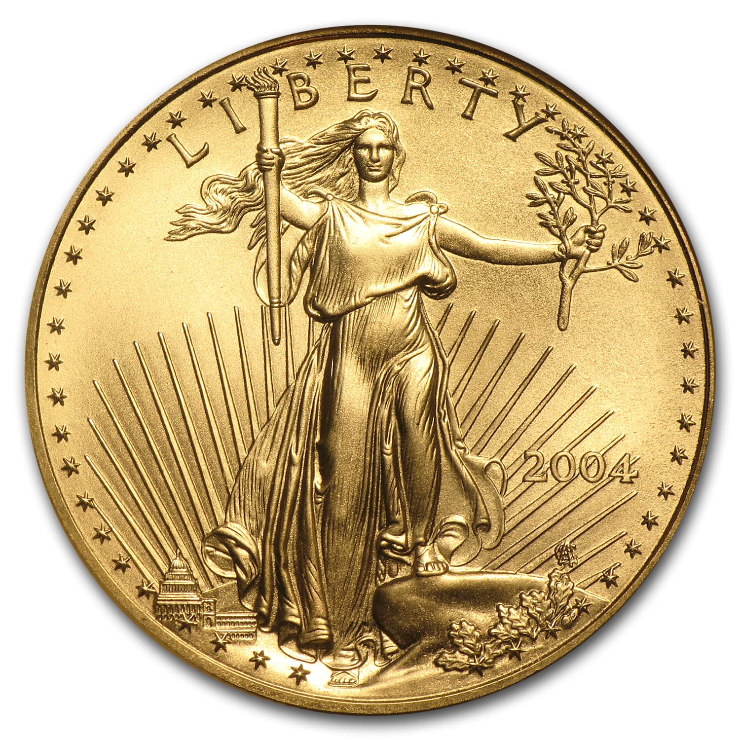 https://www.images-apmex.com/images/products/2004-1-oz-american-gold-eagle-ms-70-ngc_18552_Obv.jpg
