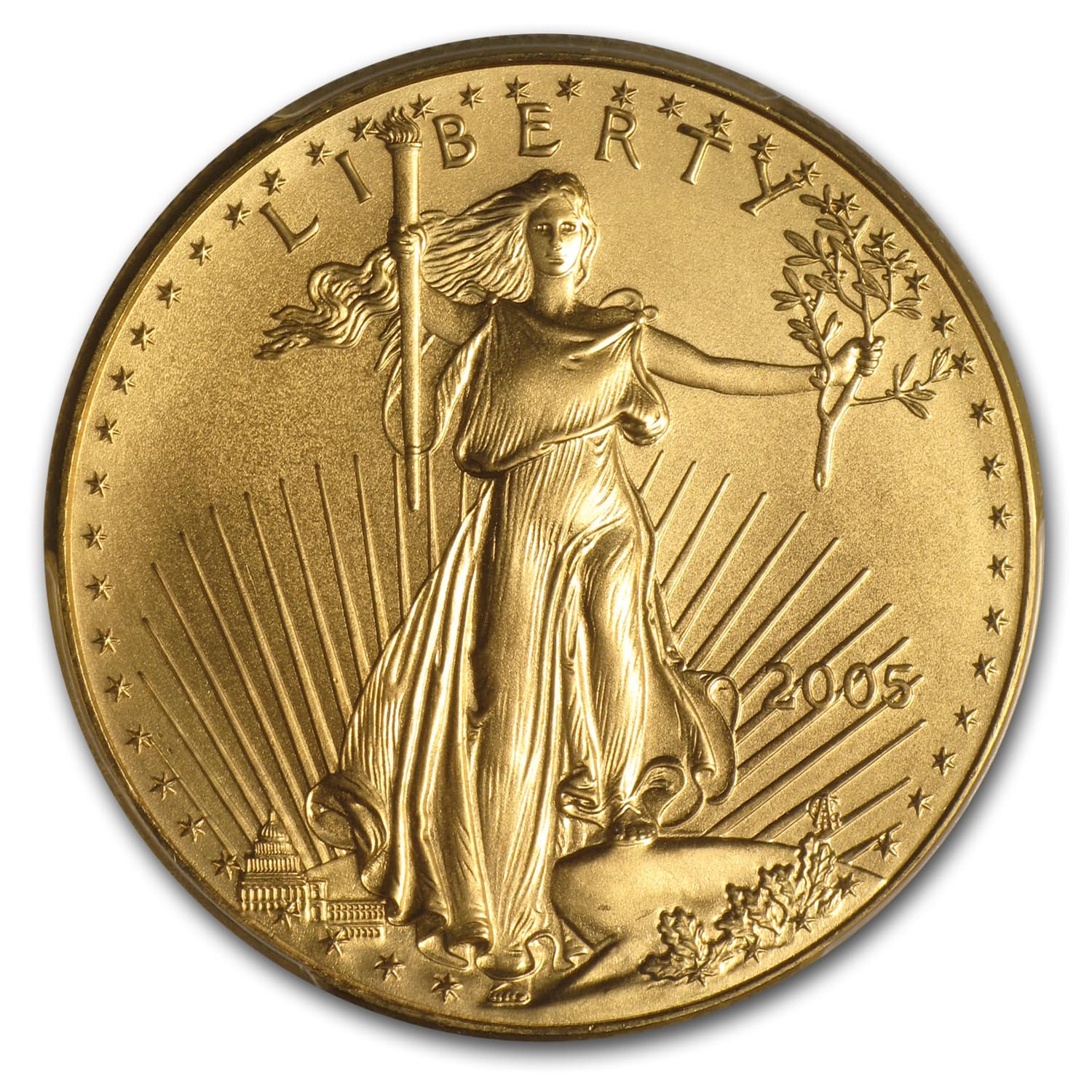 https://www.images-apmex.com/images/products/2005-1-oz-american-gold-eagle-ms-69-pcgs_46429_Obv.jpg