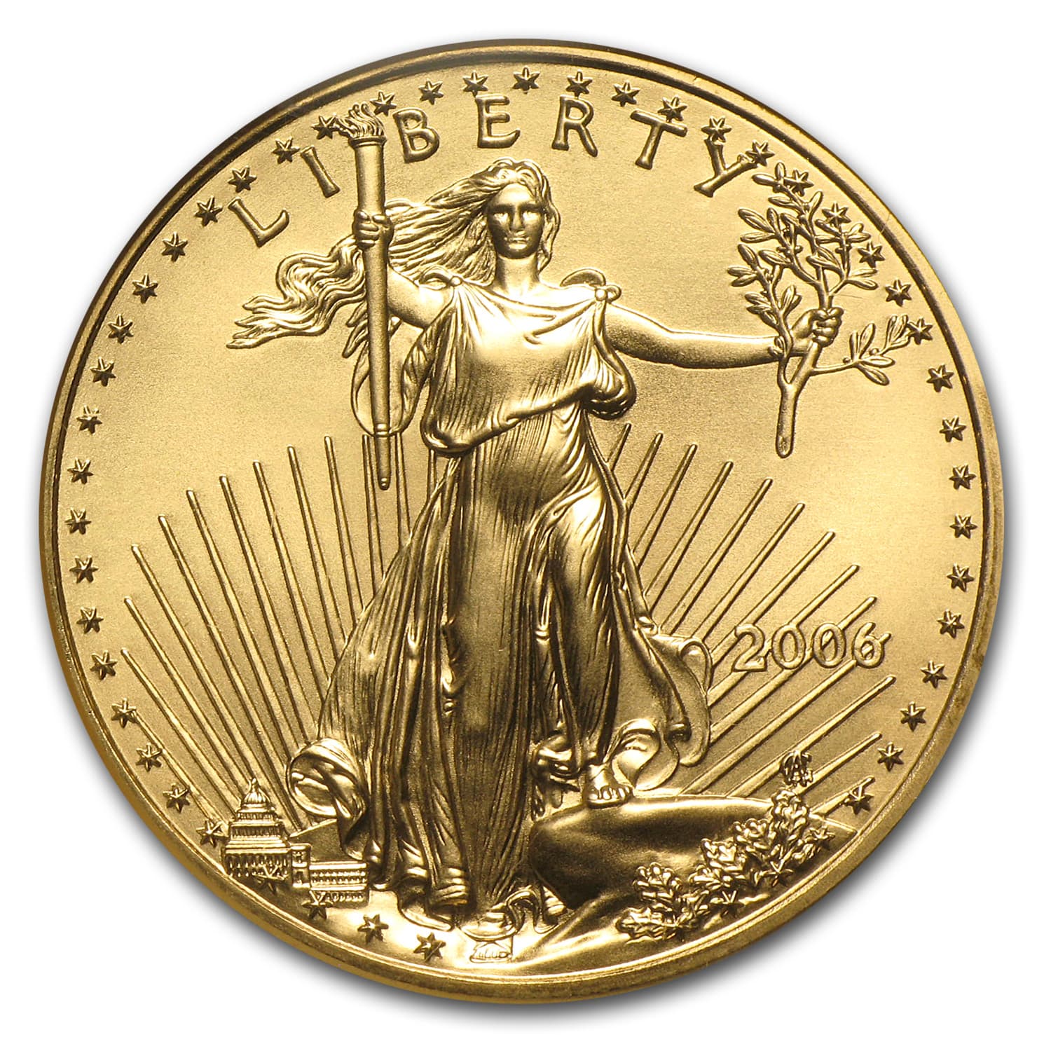 https://www.images-apmex.com/images/products/2006-1-oz-american-gold-eagle-ms-69-ngc_13997_Obv.jpg