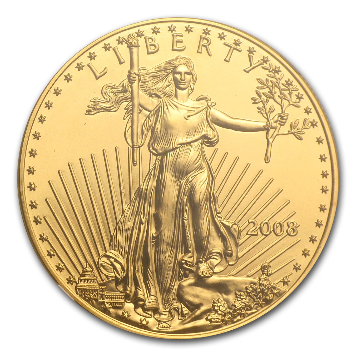 https://www.images-apmex.com/images/products/2008-1-oz-american-gold-eagle-ms-69-ngc_59245_Obv.jpg