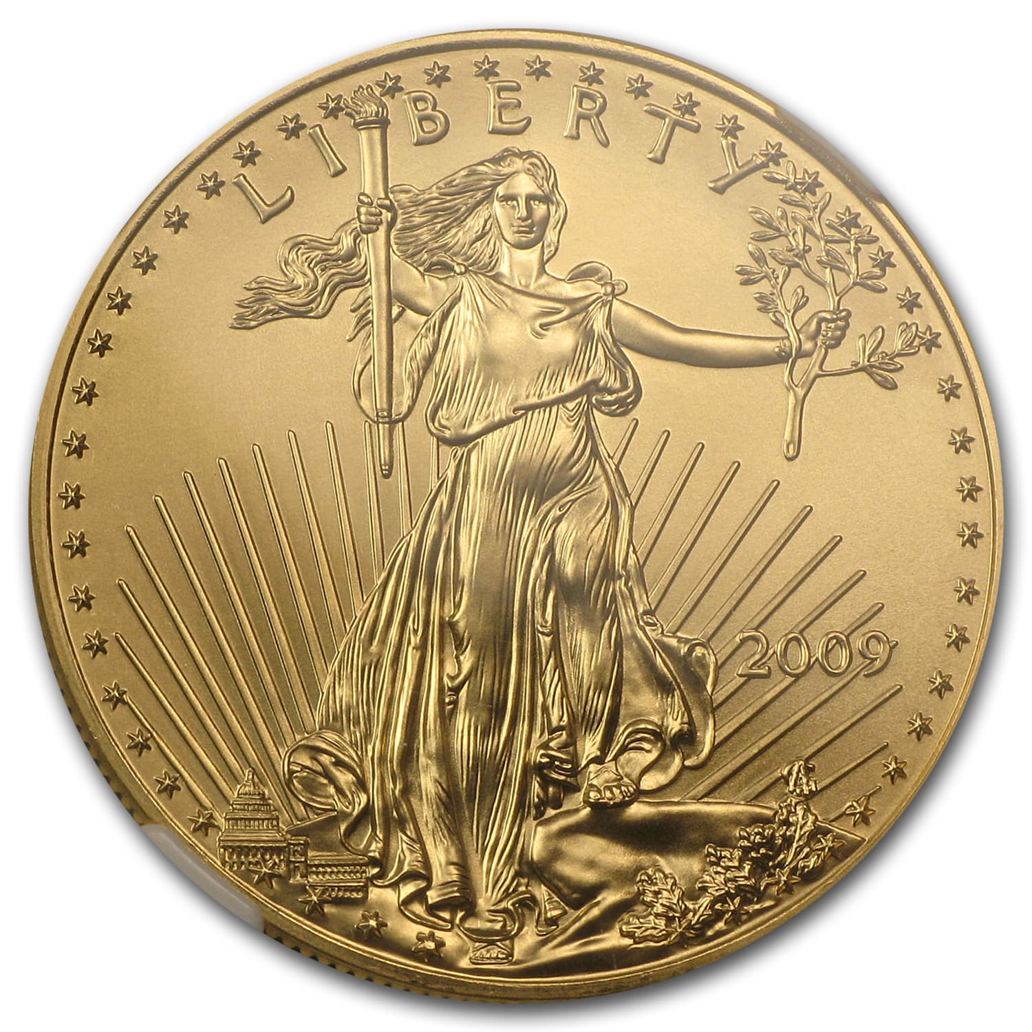https://www.images-apmex.com/images/products/2009-1-oz-american-gold-eagle-ms-69-ngc_55618_Obv.jpg