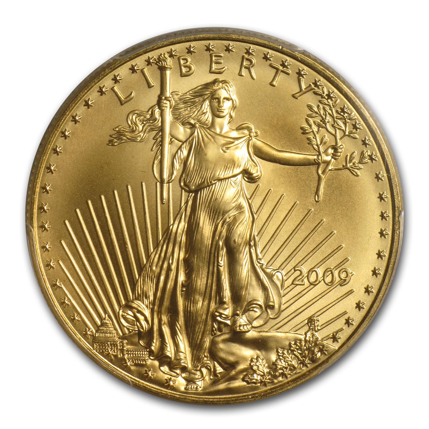 https://www.images-apmex.com/images/products/2009-1-oz-american-gold-eagle-ms-69-pcgs_53915_Obv.jpg